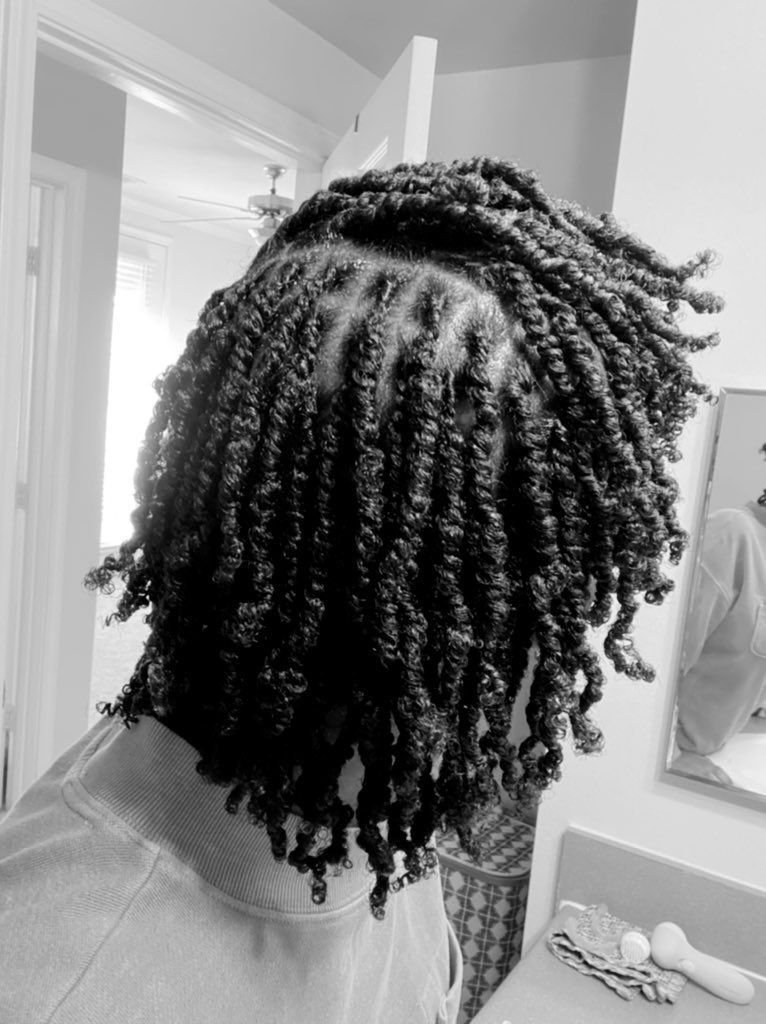 Braided starter locs