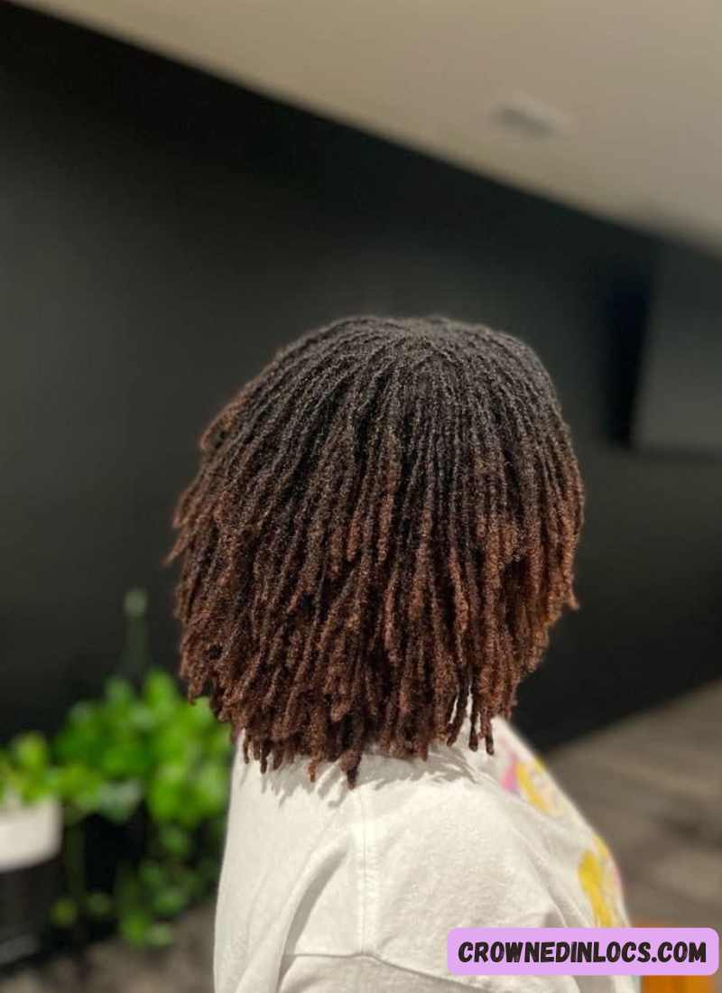 What to Expect Financially When You Start and Maintain Locs Professionally