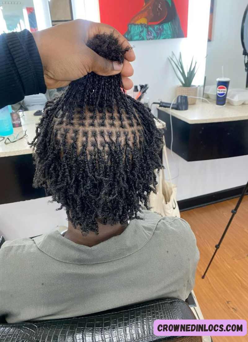 Micro Locs vs Traditional Locs: Which Is Right for You?