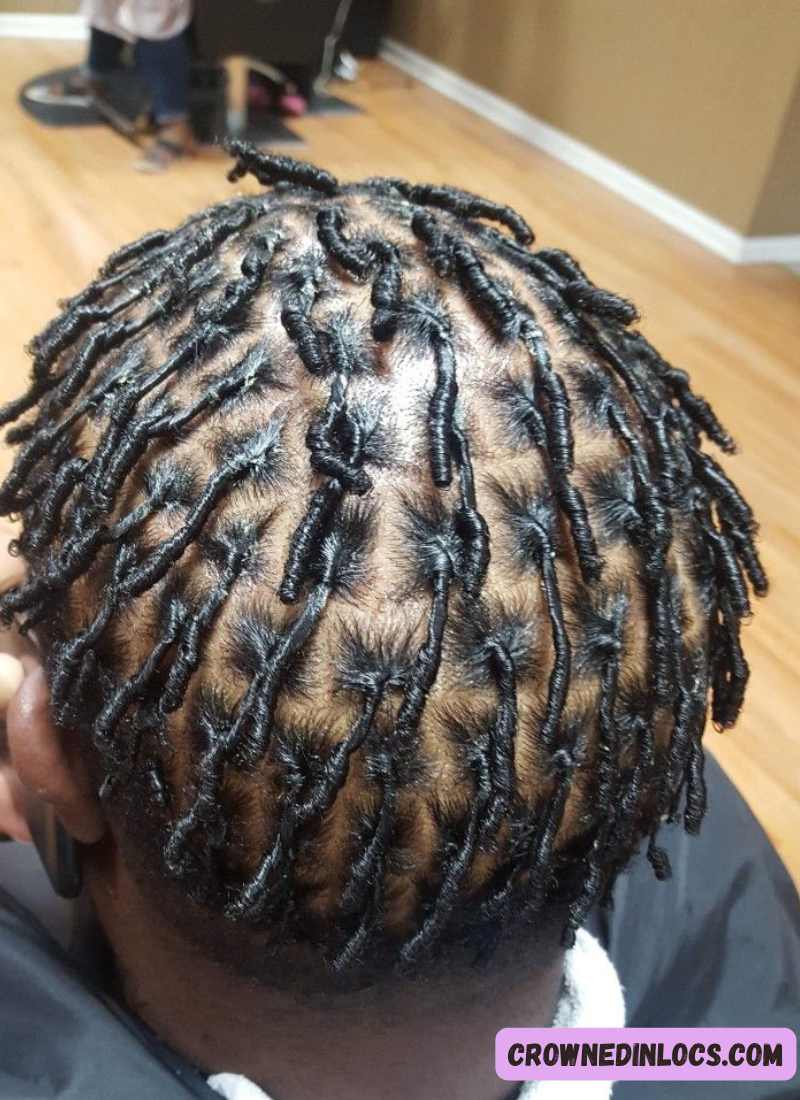 Can You Really Start Locs on Short Hair?