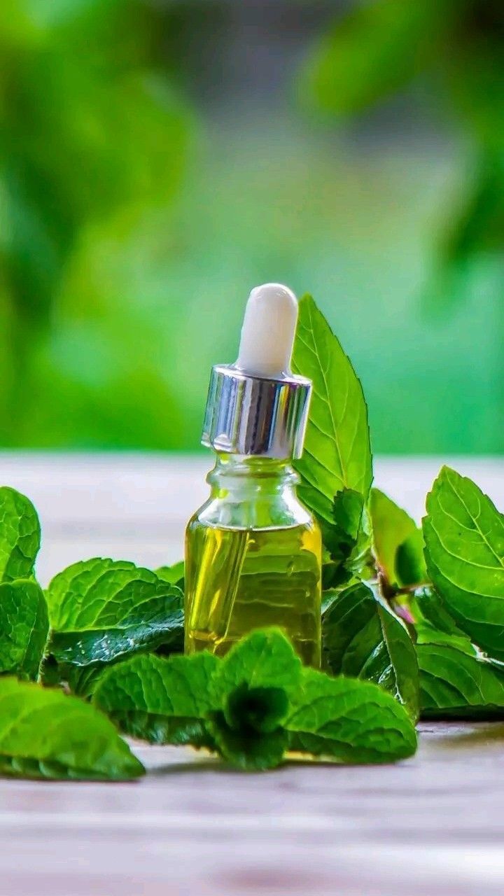 peppermint oil