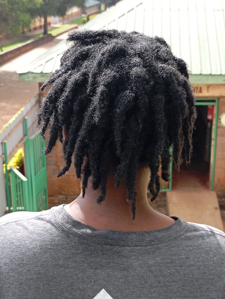 starter locs