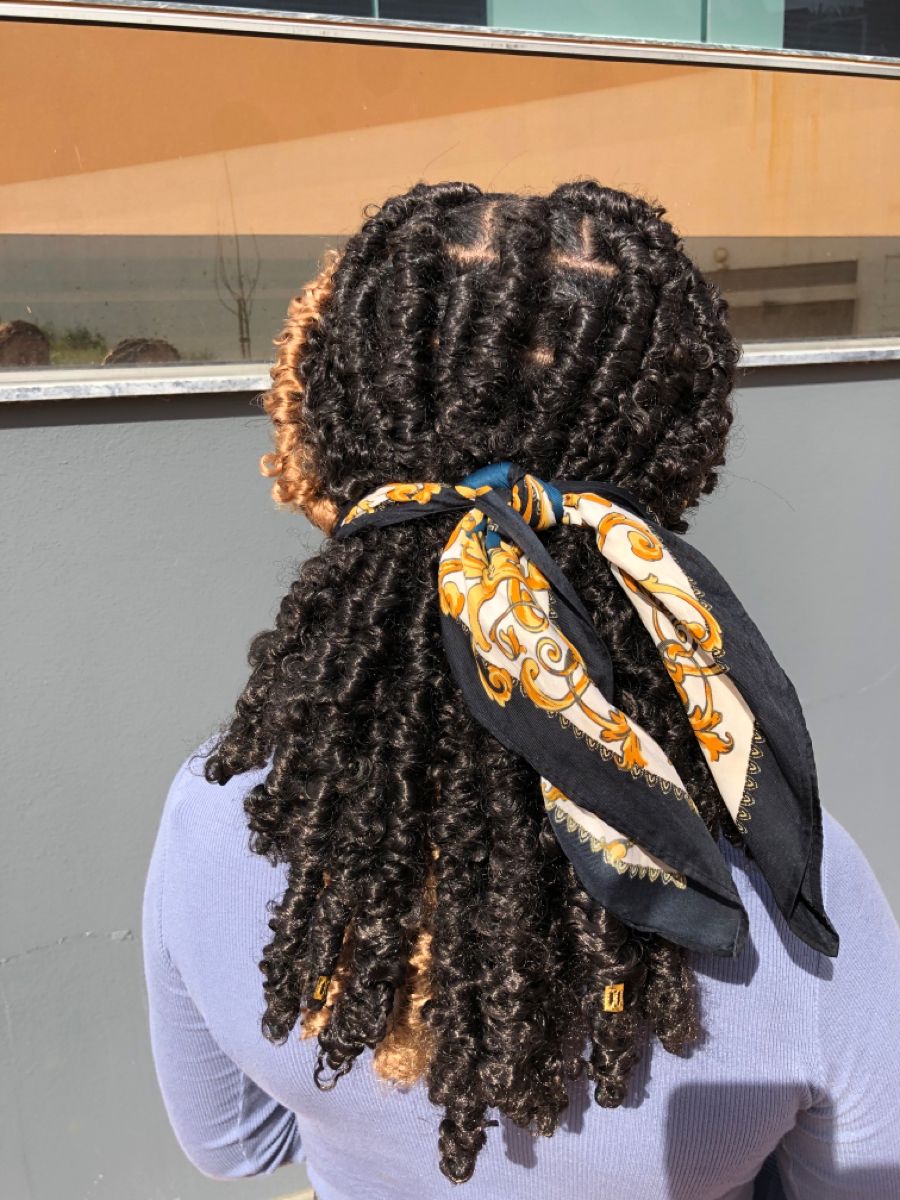 Butterfly locs
