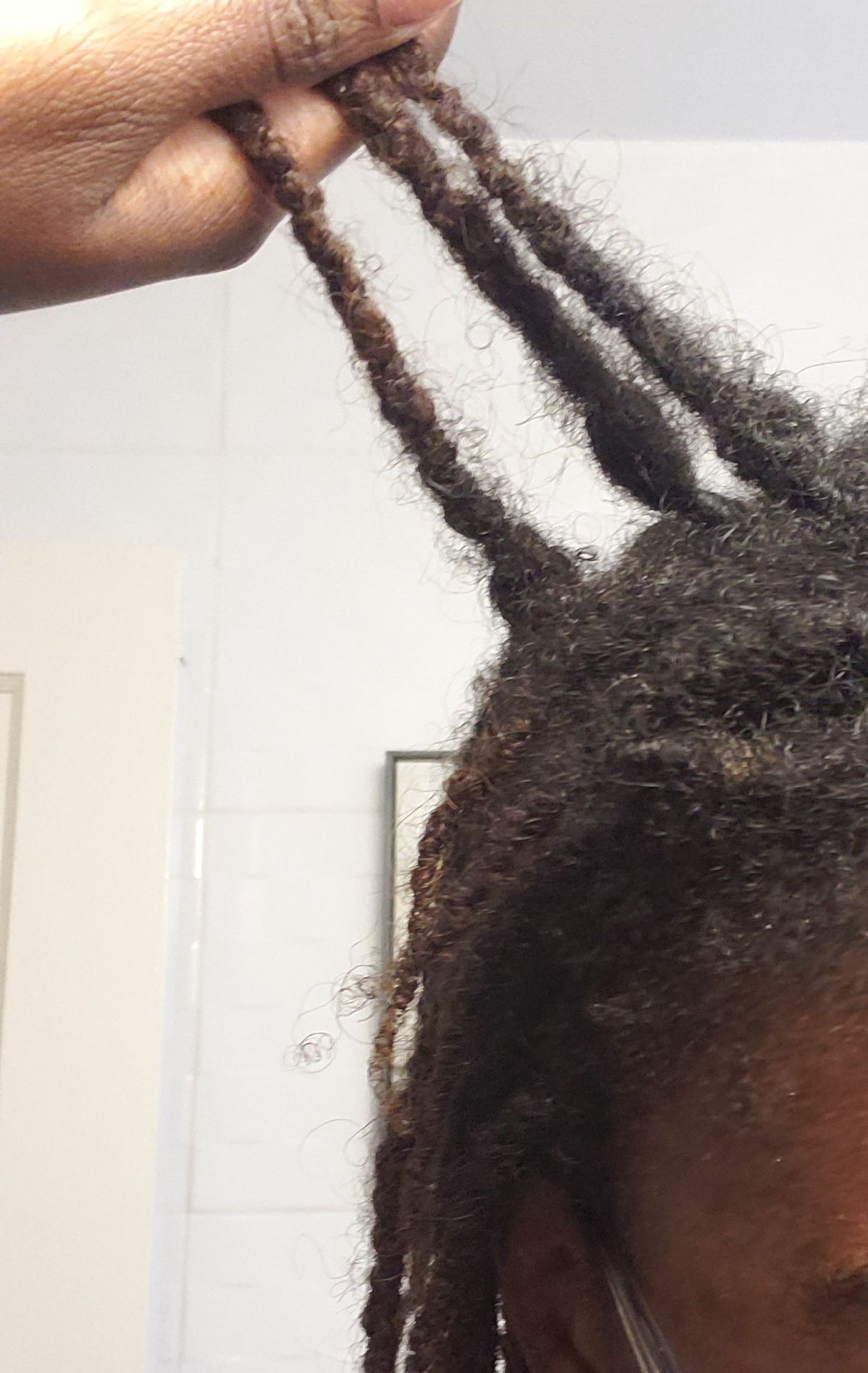budding stage of locs