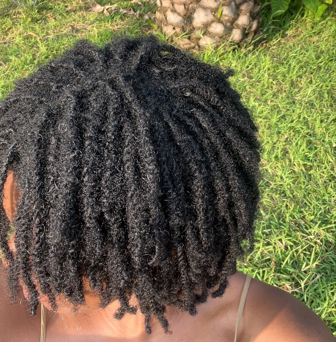 locs